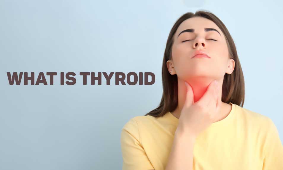 what is thyroid how to cure